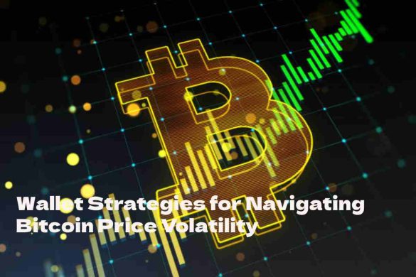 Bitcoin Price Volatility