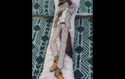 Creative Uses for Dakimakura