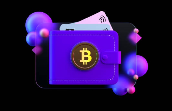 Cryptocurrency Safe 1