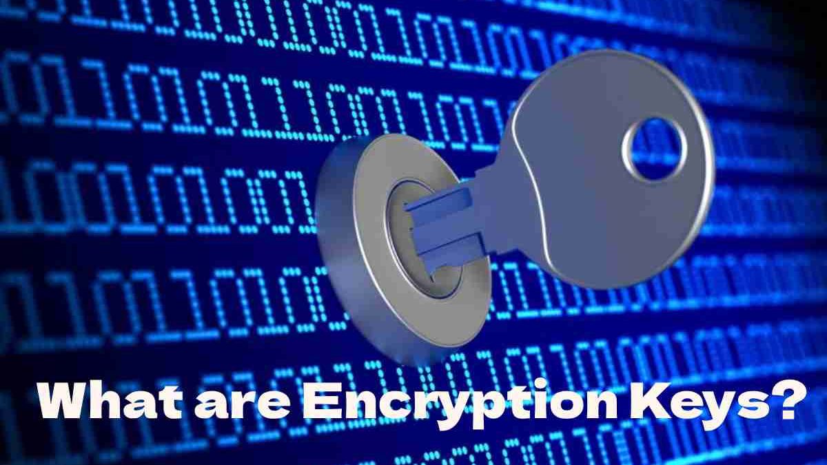 What are Encryption Keys? – Definition, Classifications, And More