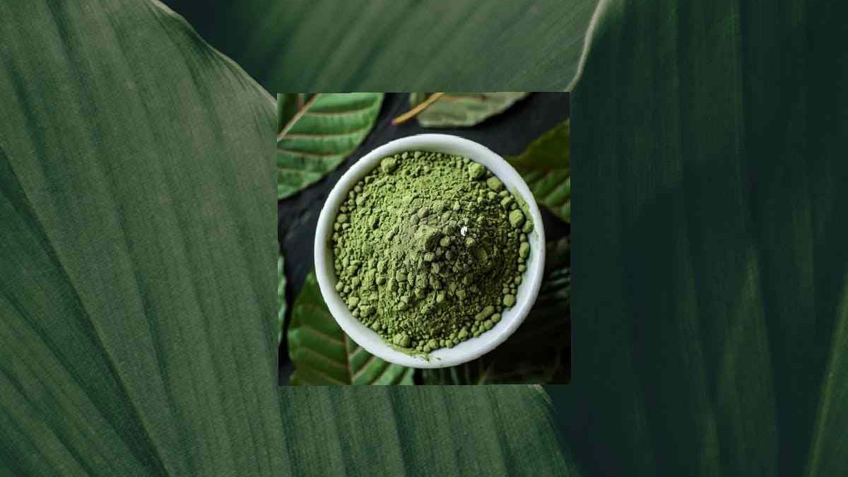 What Does Green Vein Borneo Kratom Do? [2025]