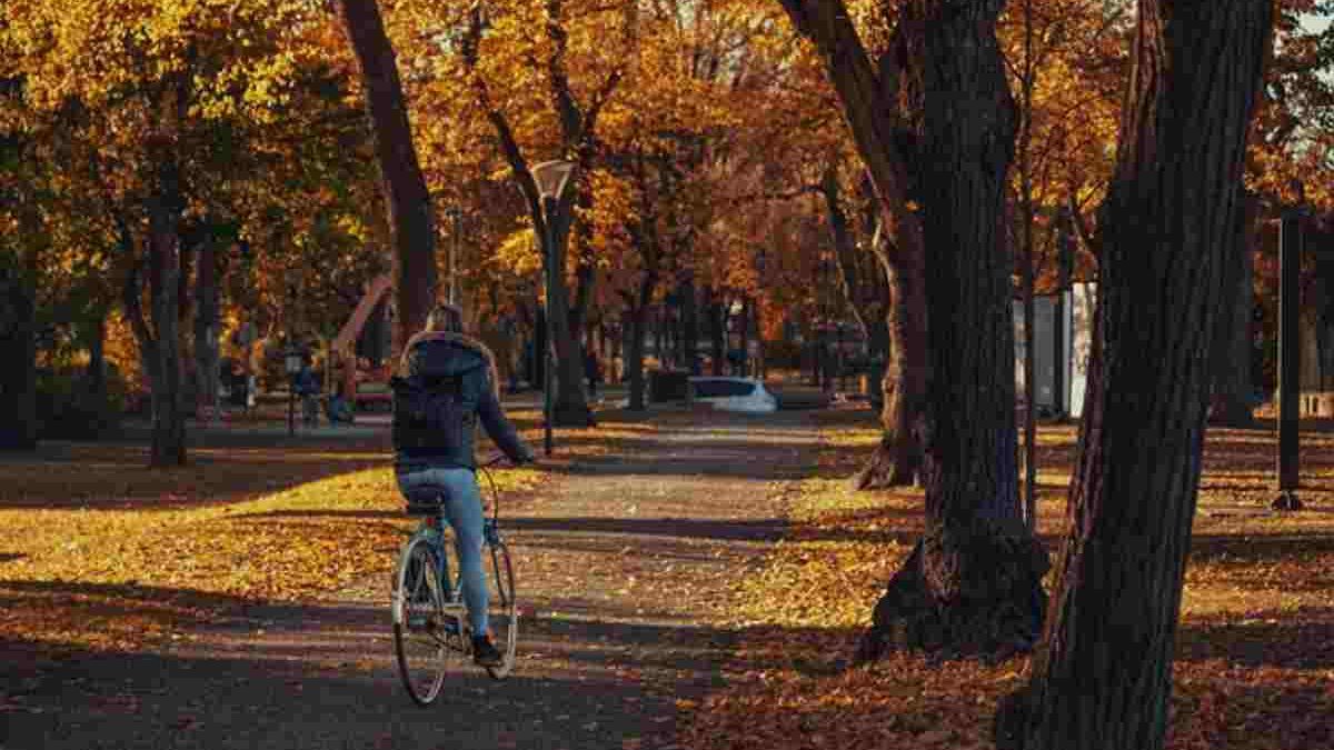 How To Prepare For Fall Weather In The US?