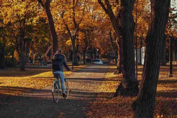 How To Prepare For Fall Weather In The US