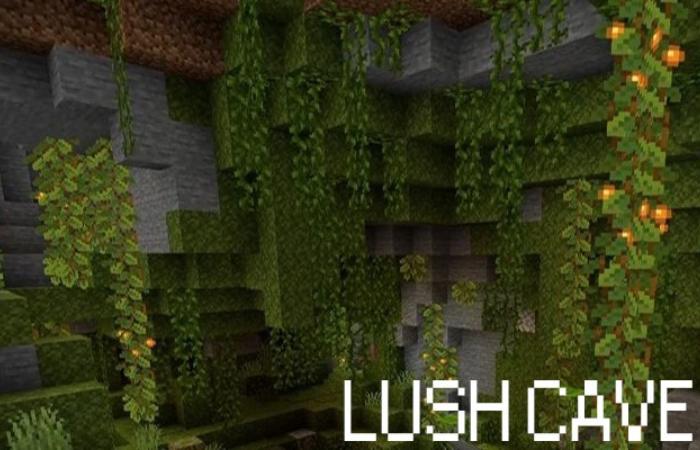 Lush Cave