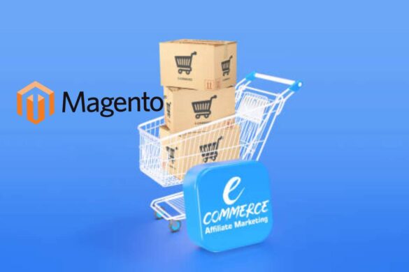 Magento ecommerce store