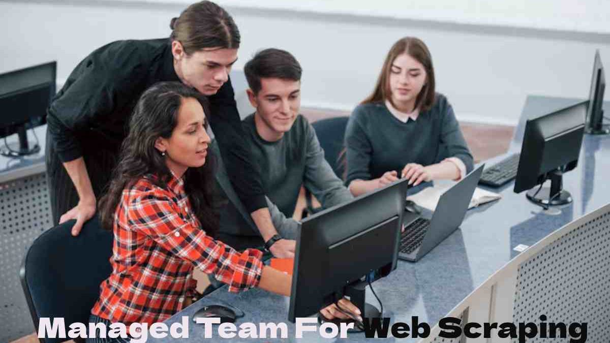 Managed Team For Web Scraping