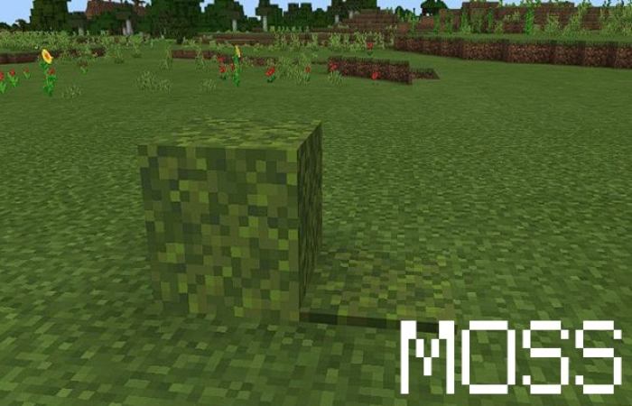 Moss