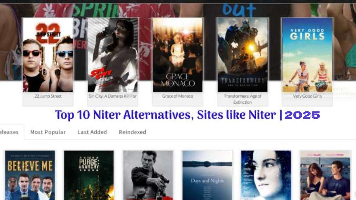 Niter 2025 – Illegal HD Movies Download Website, Niter TV