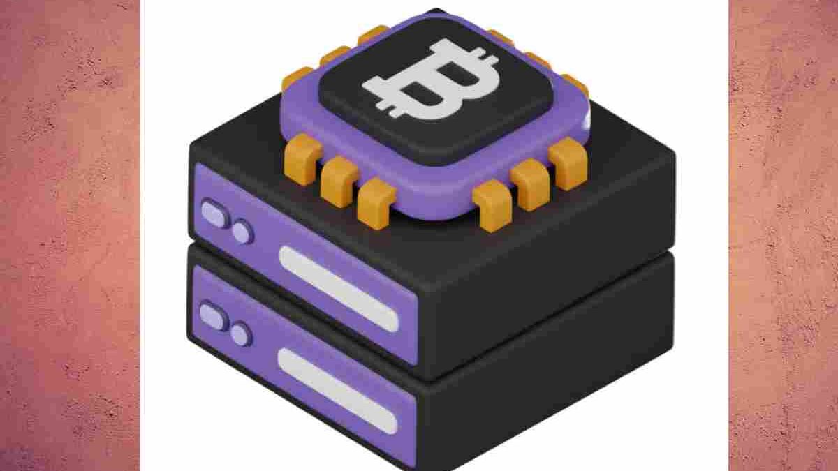 SSD Storage In Crypto From VSYS Host