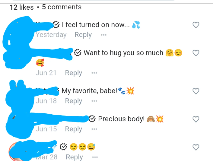 Sample of a Comment Section