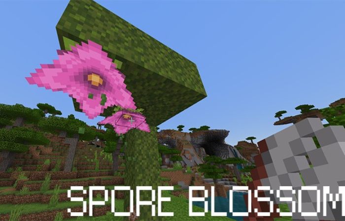 Spore Blossom