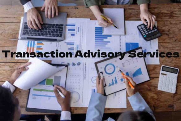Transaction Advisory Services