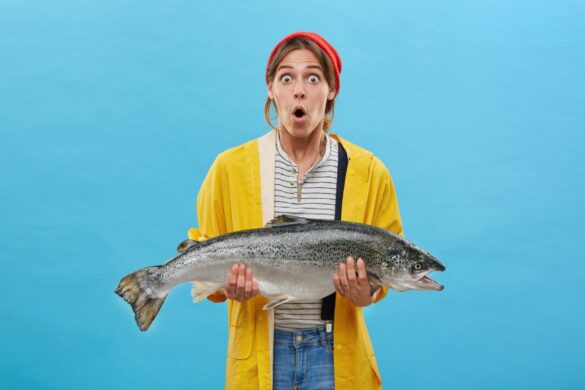 Understanding the Investment Potential of FishCash (FISH) Coin