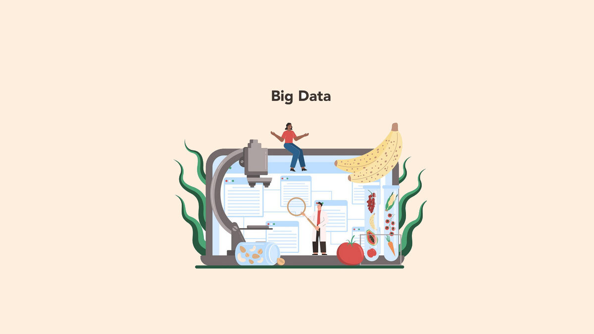 What is Big Data? – Definition, History, Values and More