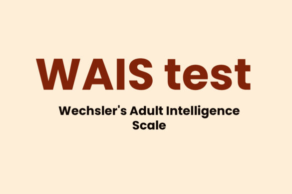 What is WAIS test? - Definition, History, Criticism, And More