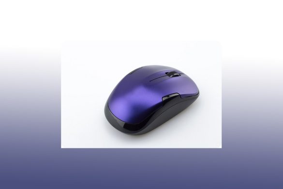 What is a Mechanical-Mouse? - Definition, Characteristics, and More