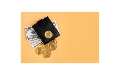 Your Complete Guide to Cryptocurrency Wallets