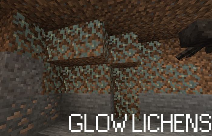 glow lichen