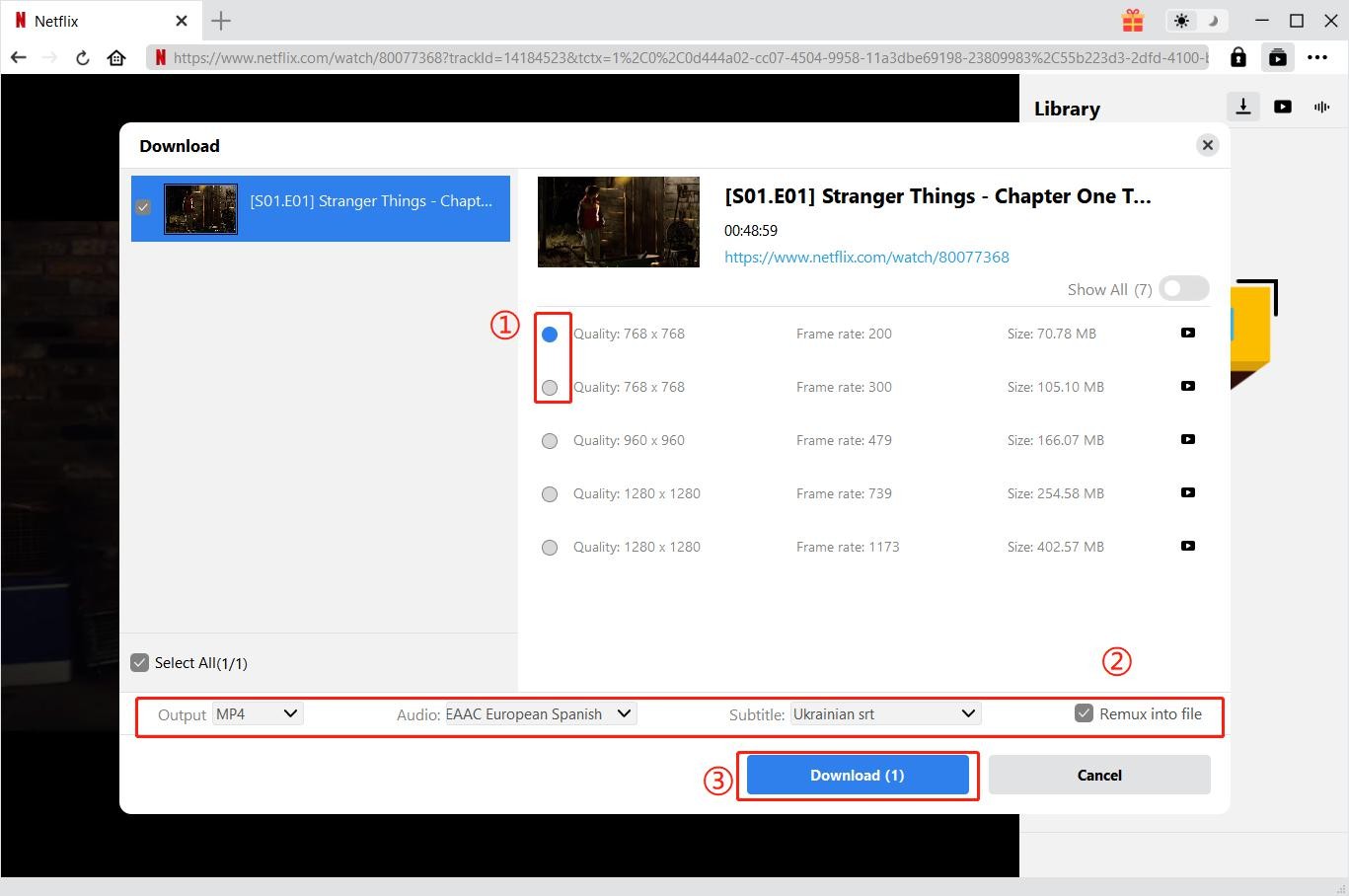 Watch Netflix Offline 5