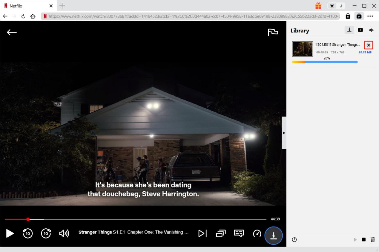 Watch Netflix Offline 6
