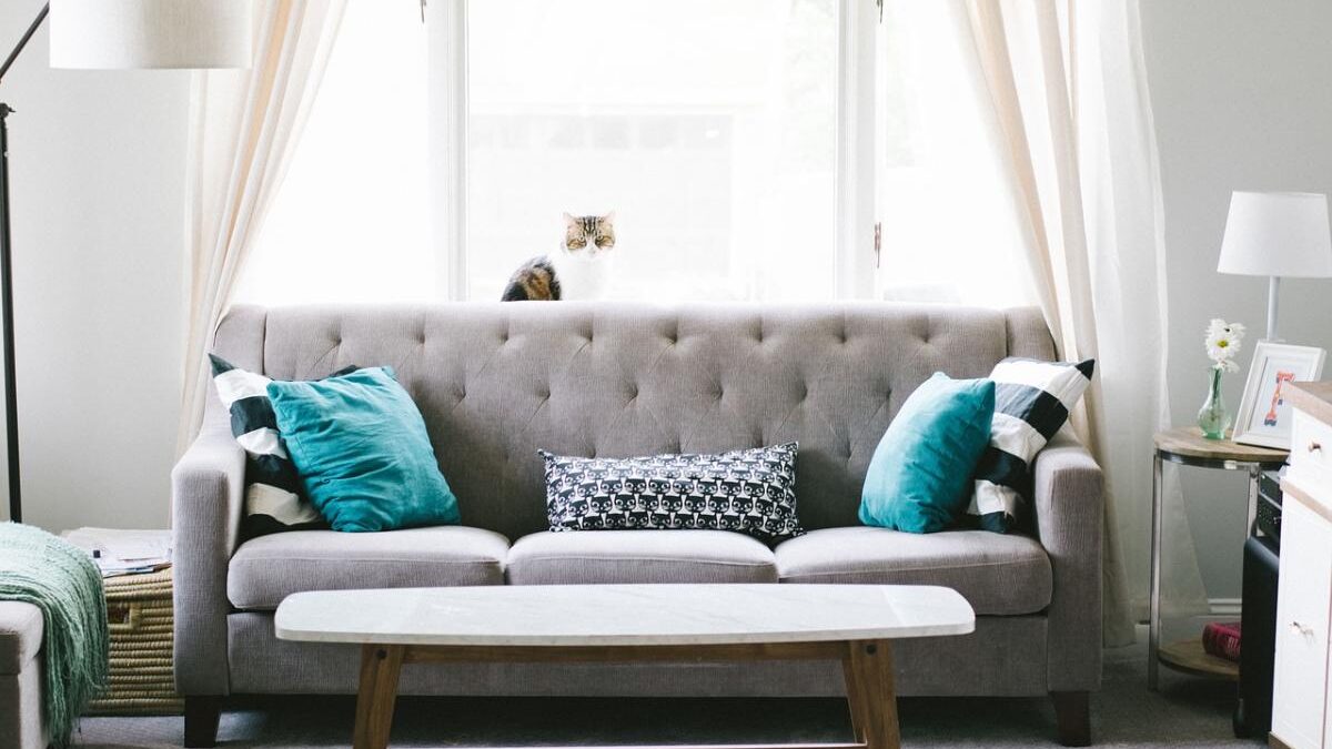 Buying Furniture Online: 6 Pros and Cons – CTR 2025