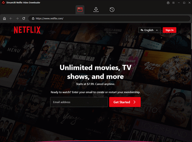 Log in to Your Netflix Account