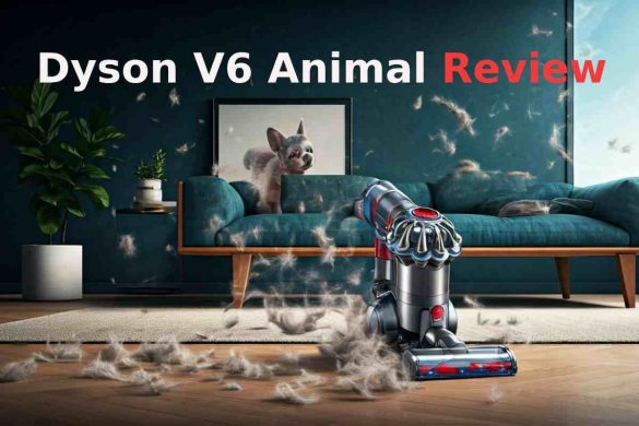 dyson v6 animal review