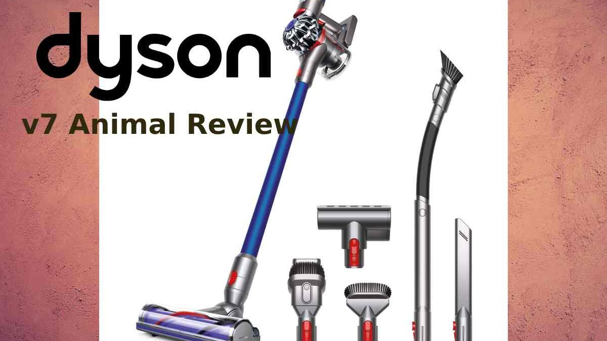 Dyson V7 Animal Review: Performance and Features