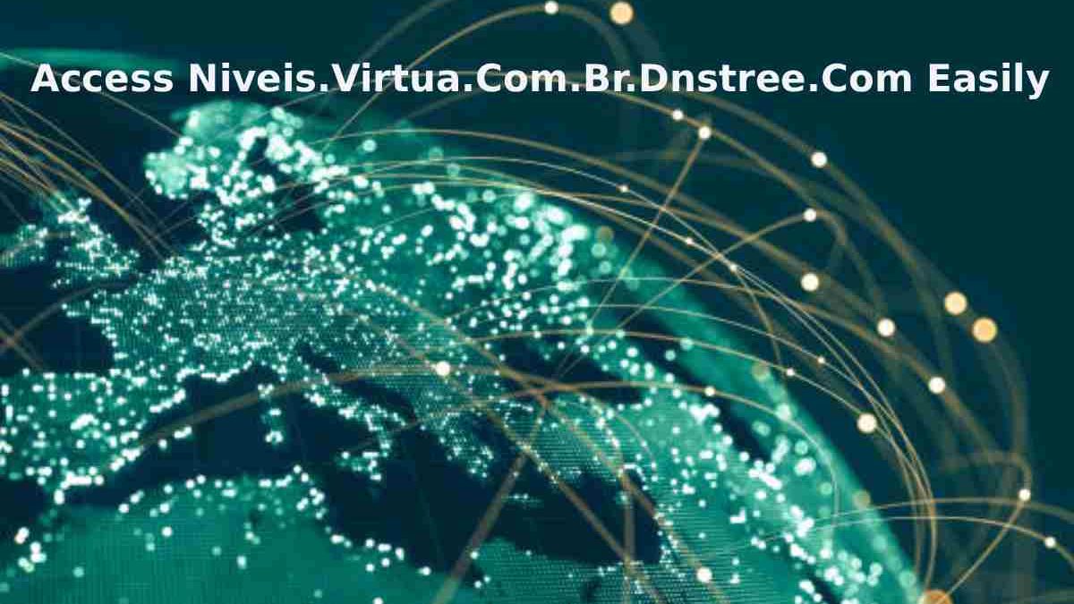 Exploring niveis.virtua.com.br.dnstree.com: A Deep Dive