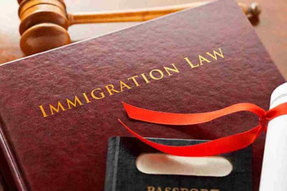 Immigration Lawyer