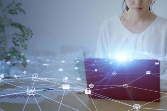 Programmers & Developers