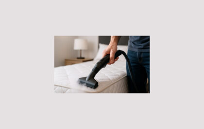 Kill Bed Bugs with Steam