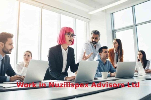 work in nuzillspex advisors ltd