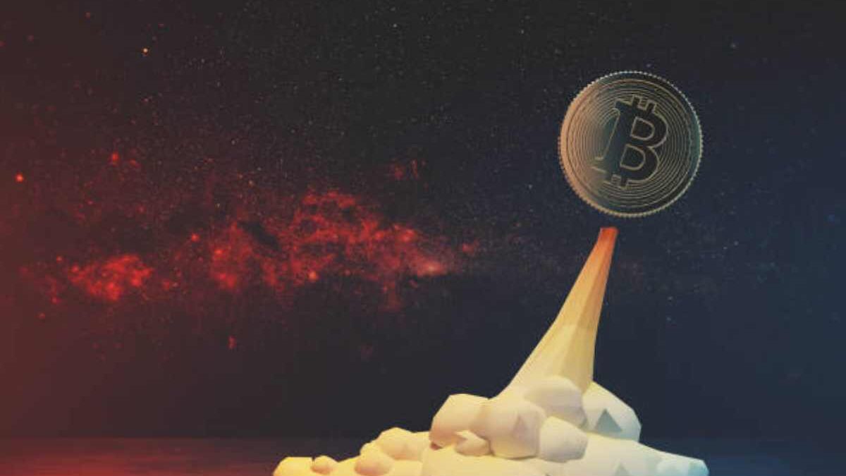 The Future of Finance: Crypto Investment Networks Unveiled