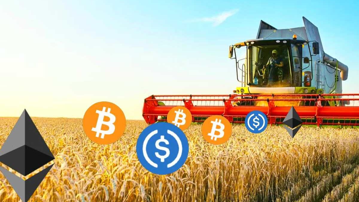 Yield Farm Crypto: Avenues for Generating Passive Income in DeFi
