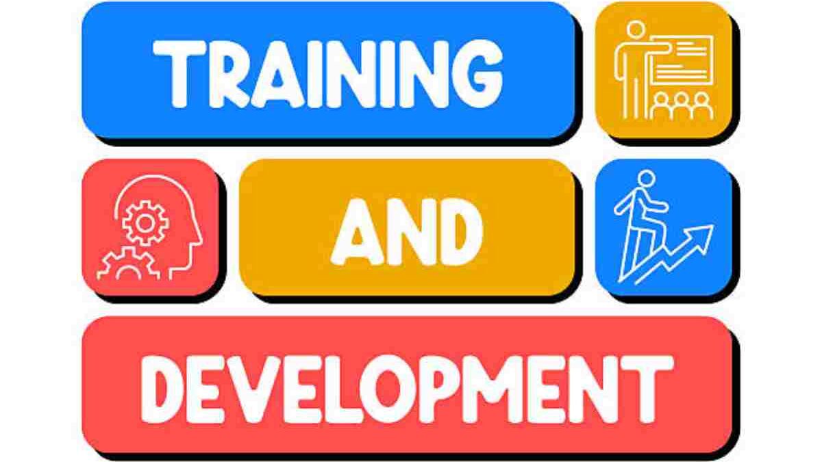 How to Improve Employee Training and Development
