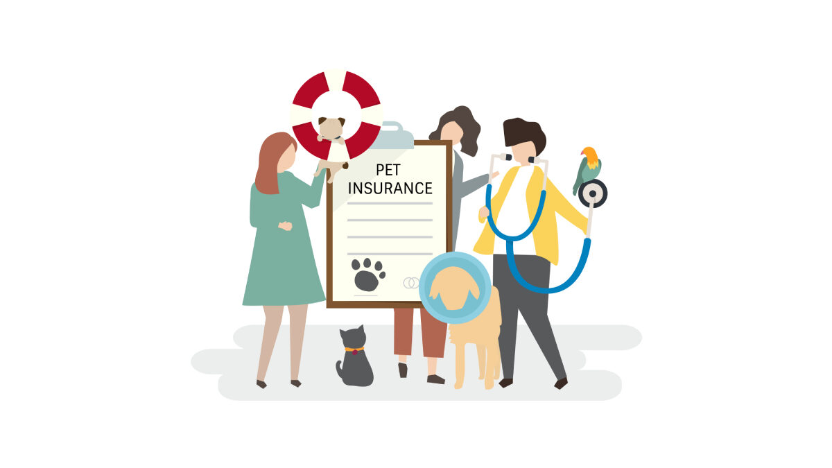 Best Pet Care Insurance in the UK (2026 Guide)