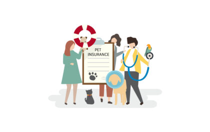 Best Pet Care Insurance in the UK (2026 Guide)
