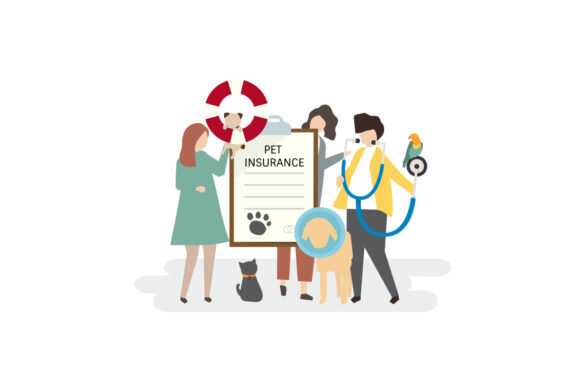 Best Pet Care Insurance in the UK (2026 Guide)