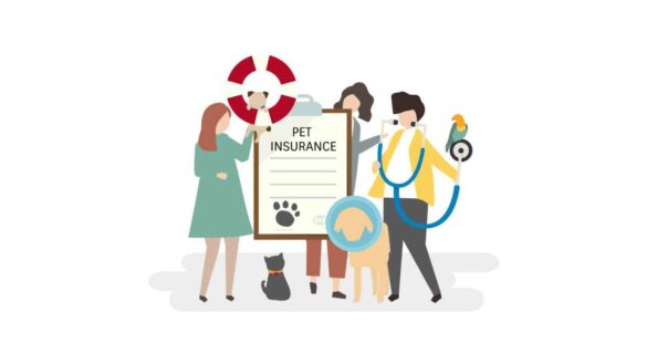 best pet care insurance in the uk (2026 guide)