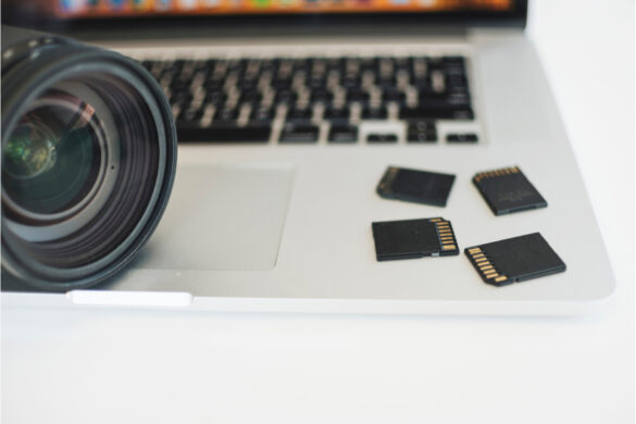 Free SD Memory Card Data Recovery: Recover Deleted Files Safely
