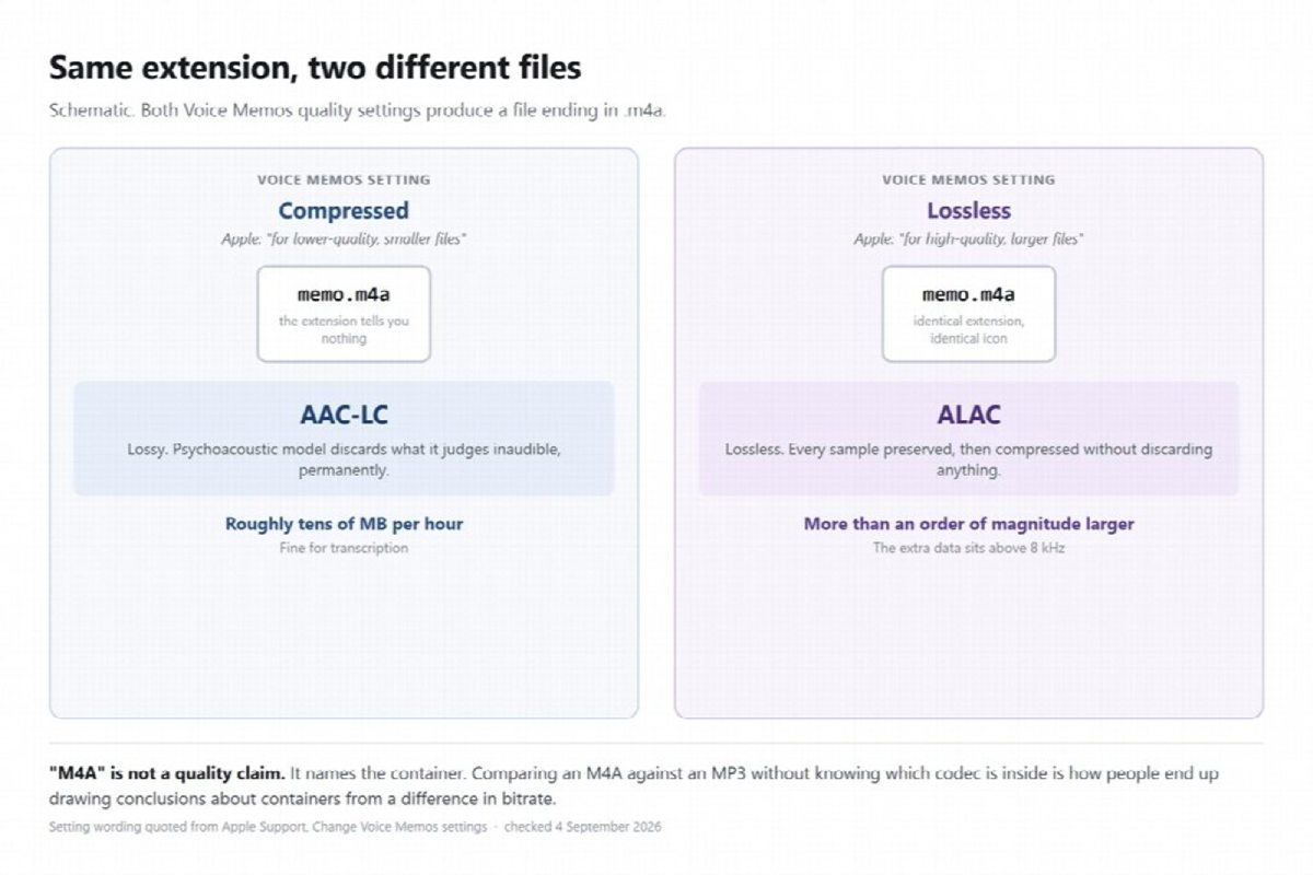The container is not the codec